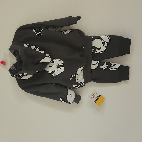 Peanuts 2 Piece Toddler Sweat Shirt and Sweat Pants - Picture 4 of 4